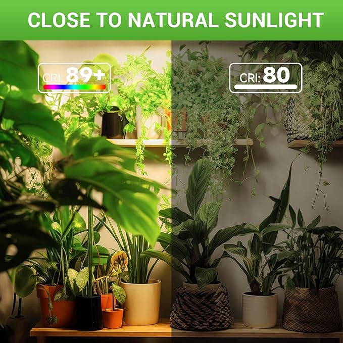 RDJ Bouns 80W Dimmable Grow Light Bulb with Remote Control, Full Spectrum Plant Bulb with 4/8/12H Timer, E26 Base LED Grow Lamp for Large Indoor Plants, Monstera, Fiddle Leaf Fig