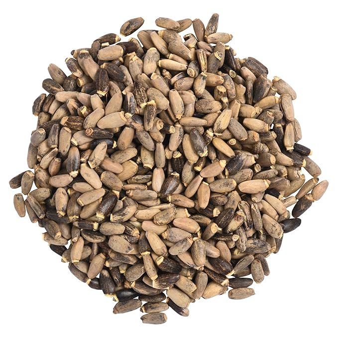 Biokoma Pure and Organic Milk Thistle Seeds 3.55 oz, Silybum Marianum for Milk Thistle Tea, USDA Organic Herbal Tea, Loose Whole Seeds in Resealable Moisture Proof Pouch, Non GMO, No Additives, Kosher