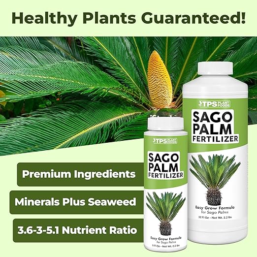 Sago Palm Fertilizer – Liquid Plant Food for Rich Green Fronds, Stronger Roots & Healthy New Growth, 32 oz