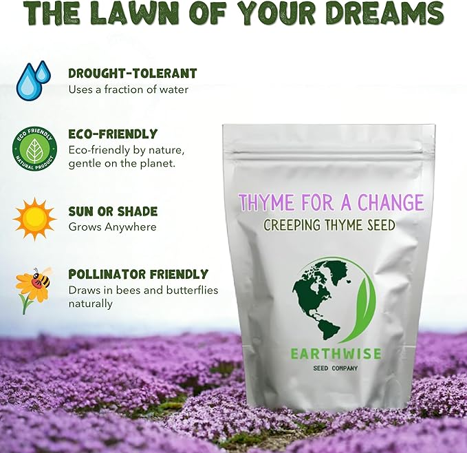 Earthwise Thyme for a Change – Wild Creeping Thyme Seeds – 1/2 oz (~8000 Seeds), Drought-Tolerant Ground Cover – Covers 250 sq. ft.
