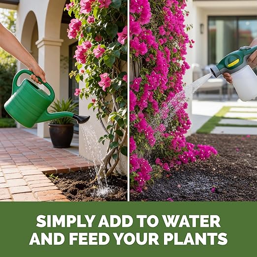Bougainvillea Fertilizer – Liquid Plant Food for More Blooms, Brighter Color & Fuller Growth, 8 oz