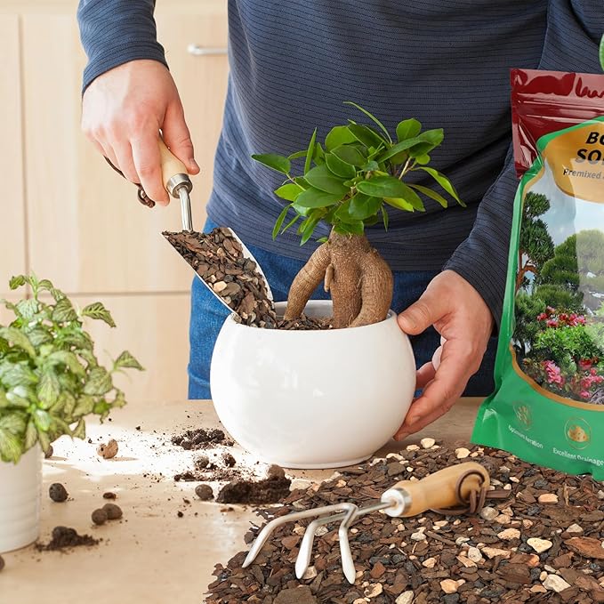 Bonsai Soil Mix 10qt, Potting Soil Mix Ready to Use for Bonsai Tree and Indoor Plants, Composed of Akadama, Lava Rock, Prumice, Bark