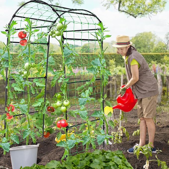 Garden Arch Cucumber Trellis for Climbing Plants Outdoor, 6.7ft Tall Archway Arbor Plant Support Grape Vine Tomato Pea Bean Trellis for Raised Bed Backyard, Black