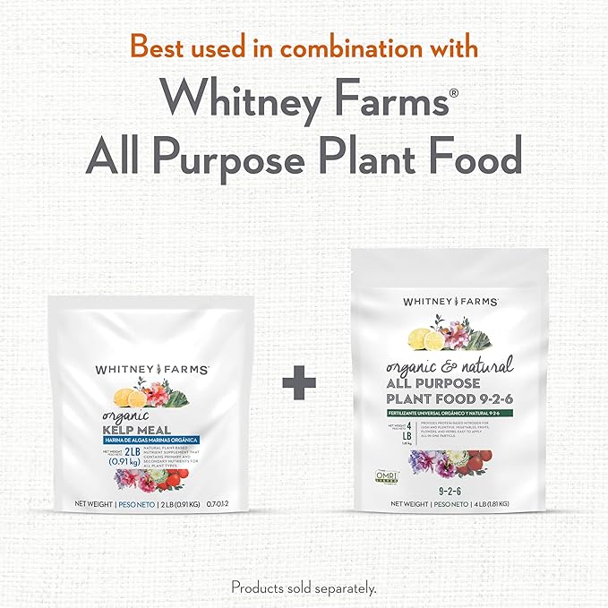 Whitney Farms Organic Kelp Meal - 0.7.01-2 Fertilizer and Soil Conditioner for Vegetables, Flowers, Roses and Shrubs - 2 lbs.