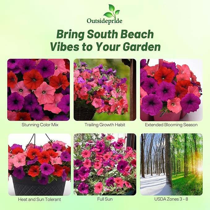 Outsidepride South Beach Mix Easy Wave Petunia Seeds - 30 Pcs. Annual, Compact & Spreading Flower Seeds for Planting Low Growing Vibrant Blooms, Ideal for Garden Beds, Baskets & Container Displays