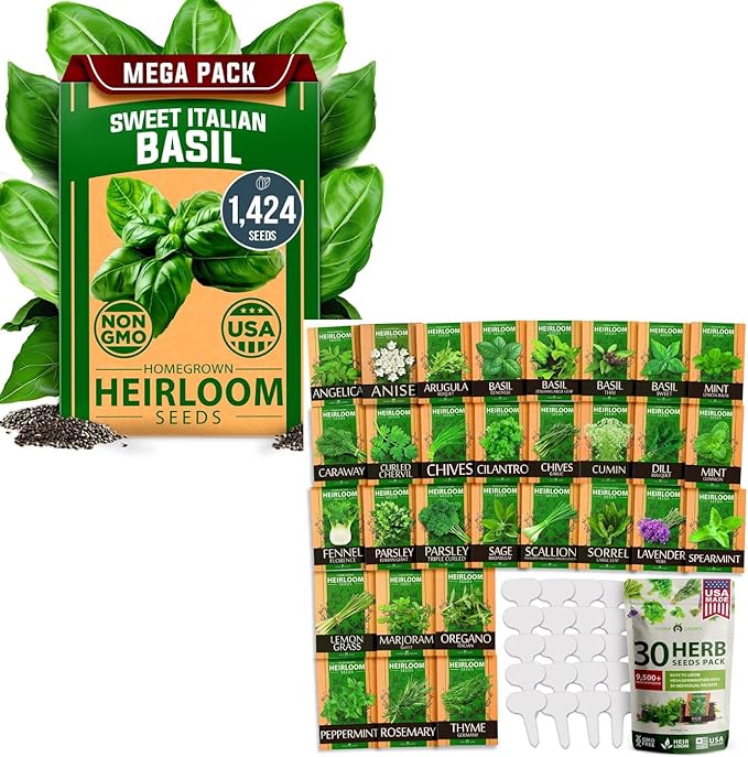HOME GROWN Italian Basil Seeds 1,424+ & 30 Herb Seeds Pack 9,500+ – 𝗡𝗢𝗡-𝗚𝗠𝗢 USA Heirloom Seeds for Indoor/Outdoor Planting – Perfect for Culinary & Hydroponic Gardens