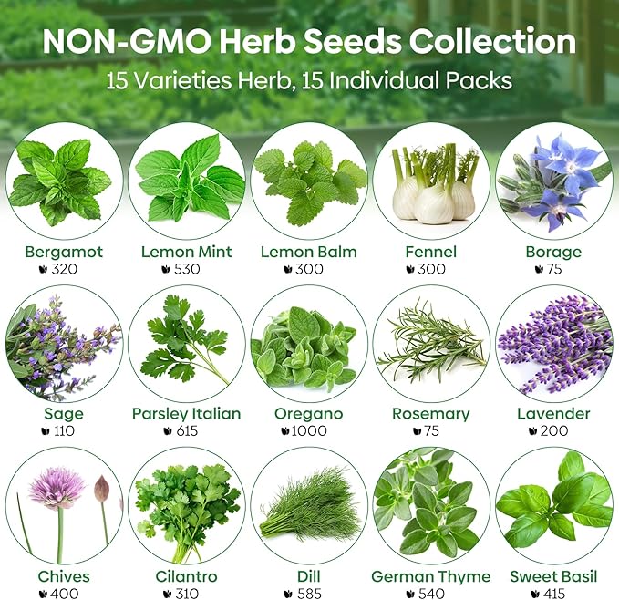 Groundio 15 Herb Seeds Variety Pack | 5,500+ Non-GMO Heirloom Seeds for Planting Indoor & Outdoor | Culinary Herb Collection | Grow Your Own Herb Garden | Gardening Gift