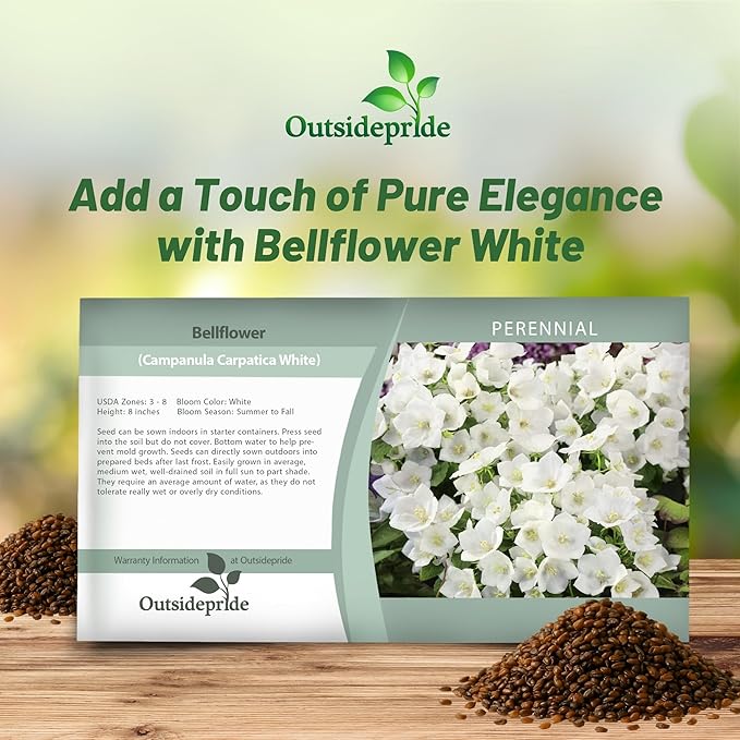 Outsidepride White Bellflower Seeds for Planting - 5000 Pcs Perennial Mat-Forming Flower Seeds with Bell Shaped Blooms & Low Growth Habit for Edging Pollinator Gardens, Containers, & Borders