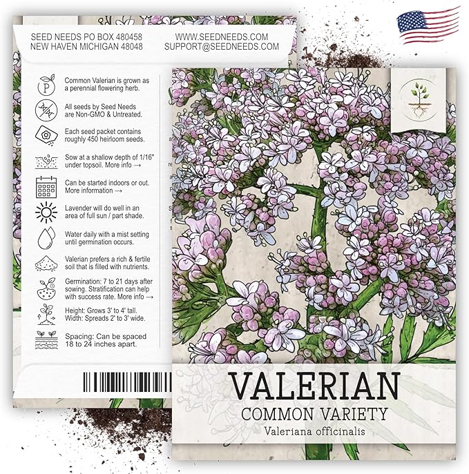 Seed Needs Valerian Seeds for Planting Stink Root Plants - Non-GMO Heirloom & Untreated Perennial Medicinal Herb Seed to Plant a Home Grown Outdoor Garden (2 Packs)