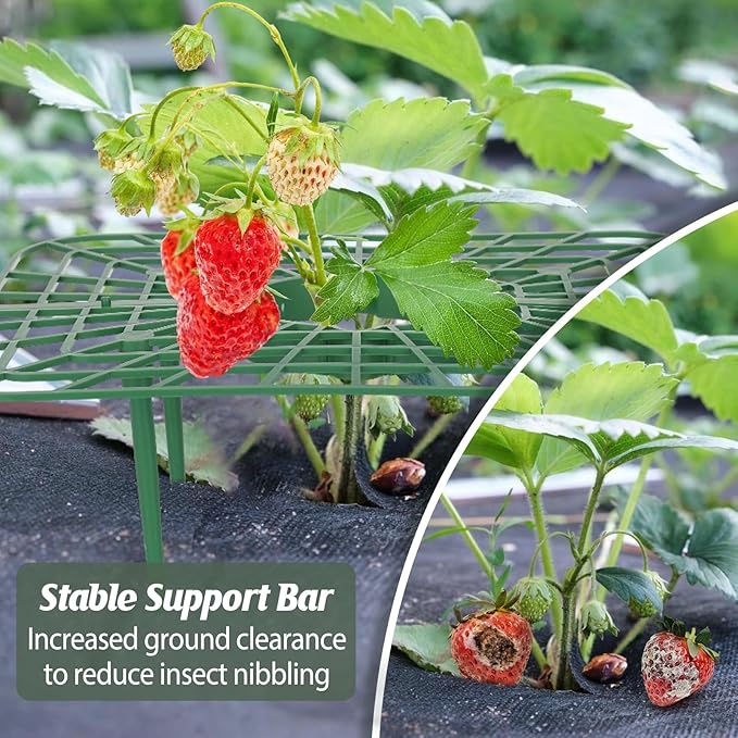 6 Sets Strawberry Plant Support with Mesh Plant Cover,Strawberry Growing Racks Sets with Iron Plant Nails and Storage Bag for Garden Strawberry Vegetables(White Net - Square)