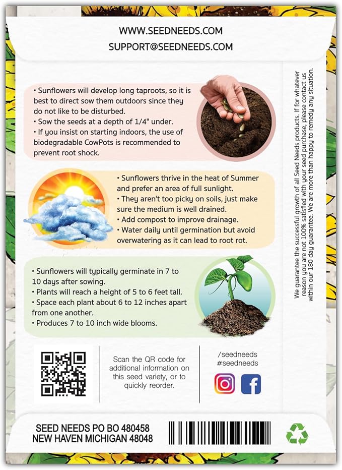 Seed Needs, Henry Wilde Sunflower Seeds - 100 Seeds for Planting Helianthus annuus - Open Pollinated Annual Flowers to Grow a Butterfly Garden (1 Pack)