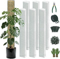 Metal Moss Poles for Climbing Plants, D-Shape Sphagnum Moss Pole Monstera Plant Support for Climbing Plants, DIY Plant Stakes Work with Sphagnum Moss (24ft D-Shaped Clear)
