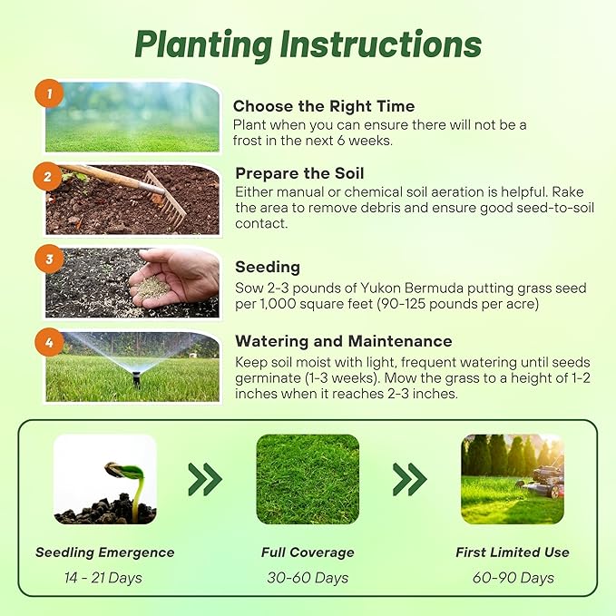 Outsidepride Yukon Bermuda Grass Seed - 2 lbs Cold & High Traffic Tolerant, Premium Hybrid Bermuda Turf Grass Seeds for Lawn, Ideal Low Maintenance Seed Grass for Colder & Challenging Area