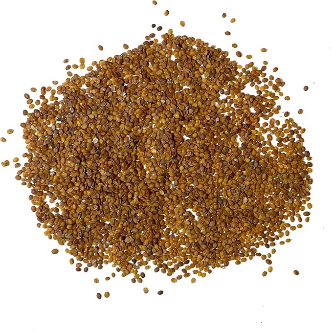 Seed Needs Carpet of Snow Alyssum Seeds for Planting - Heirloom & Untreated - Tender Perennial Flowers to Attract Pollinators to Rock Gardens, Pots, Containers & Window Boxes (1 Pack)
