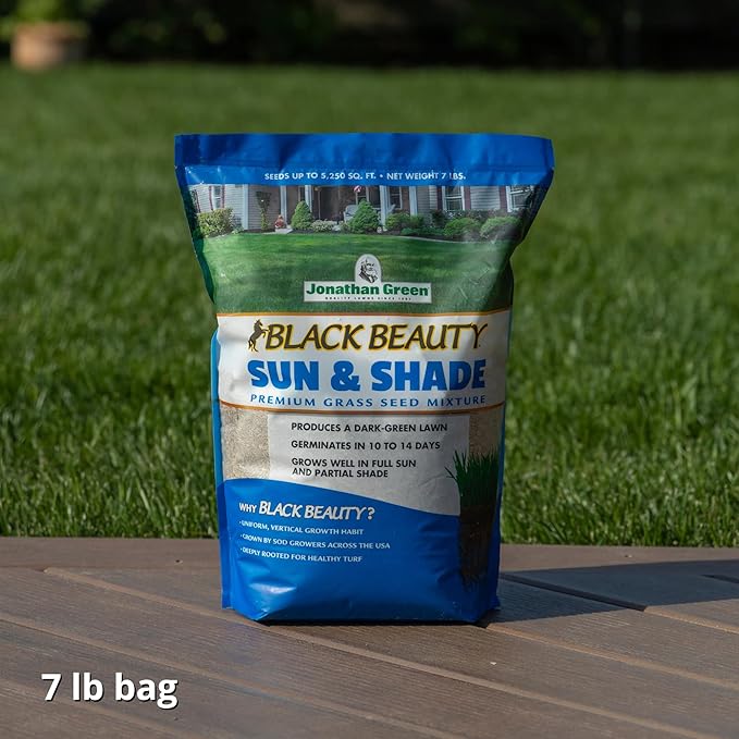 Jonathan Green (12005) Black Beauty Sun & Shade Grass Seed - Cool Season Lawn Seed (7 lb)