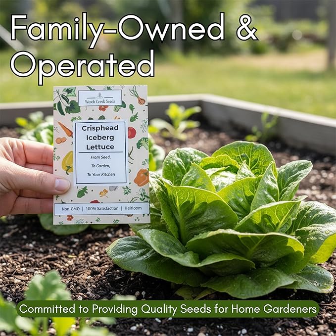 Crisphead Iceberg Lettuce Seeds for Planting - Heirloom, Non-GMO Head Variety with Dense, Crunchy Heads for Fresh Salads, Sandwiches, and Home Garden Growing | Woods Creek Seeds