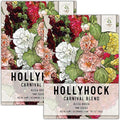 Seed Needs, Mixed Carnival Hollyhock Seeds - Heirloom Seeds for Planting Alcea rosea - Biennial Wildflower that Attracts Pollinators to the Garden (2 Packs)