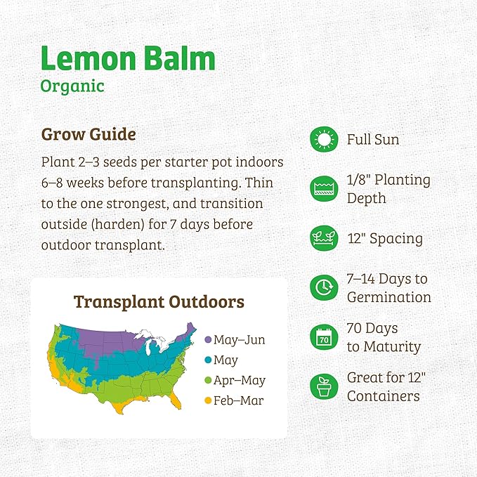 Back to The Roots 100% Organic Heirloom Seeds - Lemon Balm 'Melissa Officinalis' Value Pack (280mg Total)