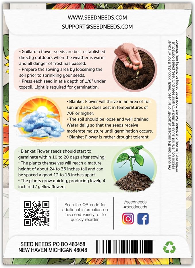 Seed Needs Blanket Flower Seeds for Planting - Heirloom & Open Pollinated Perennial Flowers - Attract Butterflies, Bees & Other Pollinators to a Butterfly Garden (5 Packs)