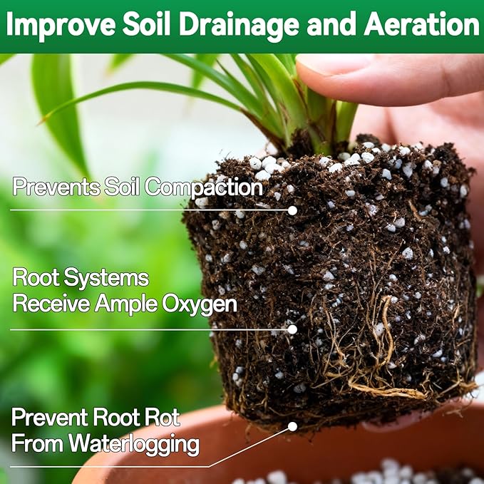ZeeDix 3QT Organic Perlite Horticulture Soil Amendment for Plants, 3-9mm Granule Size Potted Plant Soil for Orchid Cactus Succulents Carnivorous Monstera Repotting, Indoor Outdoor Gardening