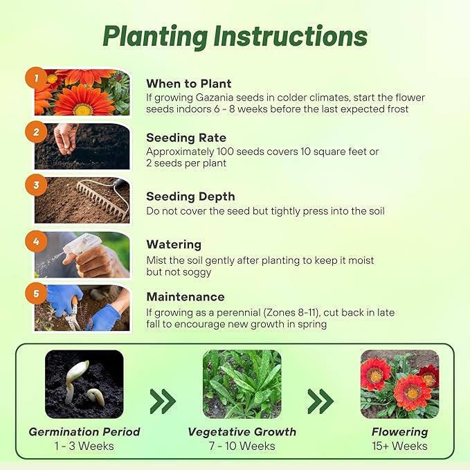 Outsidepride New Day Red Shades Gazania Seeds for Planting – 25 Pcs Perennial, Low-Maintenance, Drought-Tolerant Ground Cover Seeds for Vibrant Summer & Fall Flowers, Great for Outdoor Gardens