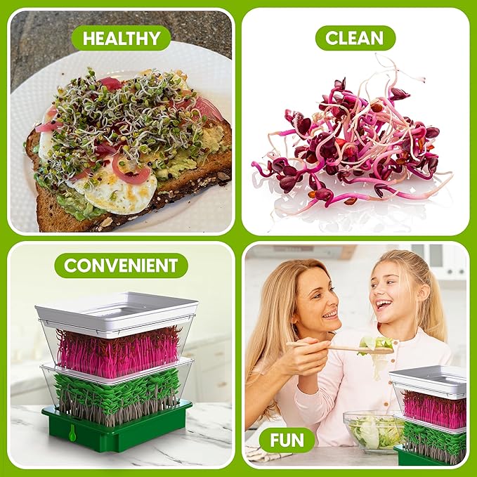2026 Upgraded 2-Tier Stackable Seed Sprouter with Air Holes & Easy Sink-Draining Spout Tray – Soil-Free Sprouting System for Broccoli, Alfalfa & Bean Sprouts.