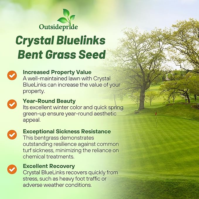 Outsidepride Crystal Bluelinks Creeping Bent Grass Seed - 1 lb. Dense Turf Grass for Golf Greens & Putting Surfaces, Fine-Textured, Tolerant to Close Mowing for Smooth, Consistent Lawn Coverage