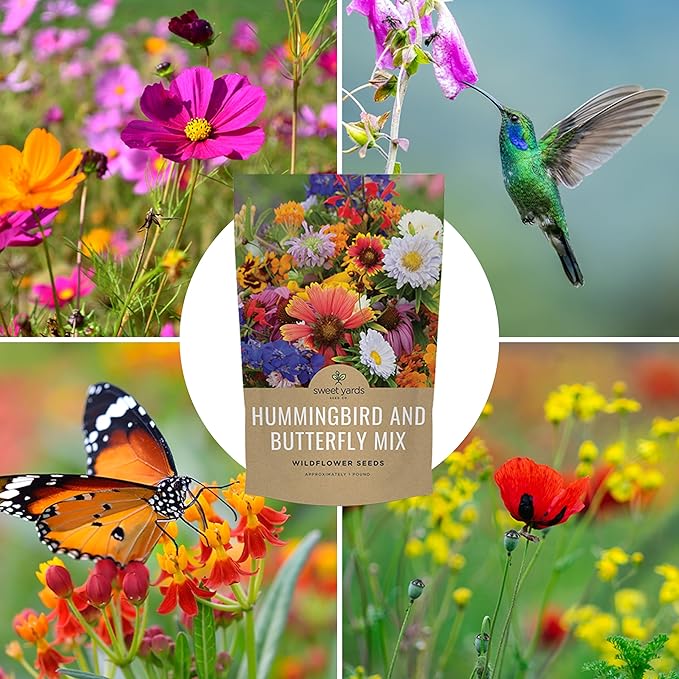 Bulk Wildflower Seeds Butterfly and Hummingbird Mix - 1 Pound Bag - Over 120,000 Open Pollinated Annual and Perennial Seeds