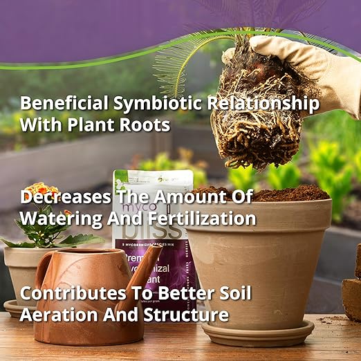 Myco Bliss Granular (200 g) - Mycorrhizal Fungi for Plants - 5 Strain Mycorrhizal Inoculant with 1000 Propagules Per Gram - Highly Concentrated Mycorrhizae for Plants, Potting Soil, & Garden Soil