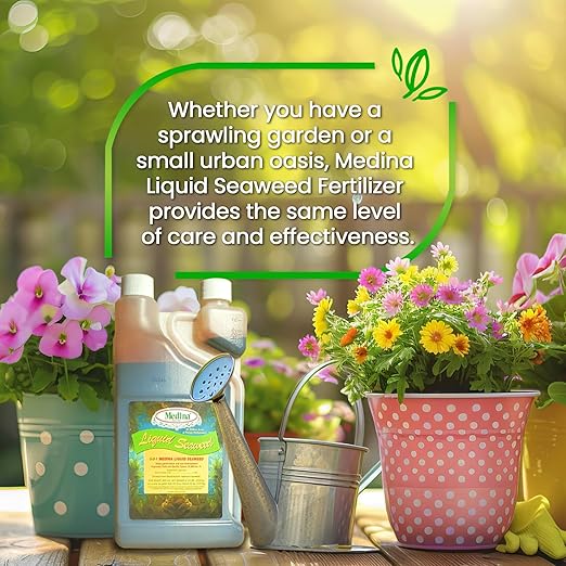 Medina Liquid Seaweed Fertilizer for Plants - Concentrated Seaweed Fertilizer for Lawn and Garden - Enhances Plant Growth and Soil Health - Ready to Spray - 1 Quart Covers 16000 Sq. Ft.