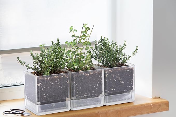 D'vine Dev 4 Inch Herb Planter Pot, Plastic Planter with Drainage Holes and Saucer, Modern Decorative Gardening Pot for Indoor Plants, Flowers, Herbs, Succulents, Clear, Set of 6, 76-Y-D-6