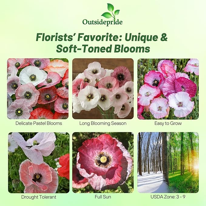 Outsidepride Mother of Pearl Poppy Seeds for Planting - 1,000 Pcs Annual, Drought-Tolerant & Easy to Grow Wildflower Seeds with Vibrant Mix Blooms for Landscaping, & Pollinator Garden