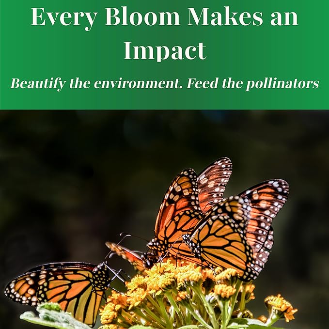 TKE Farms & Gardens - Butterfly Milkweed Seeds for Planting, 100+ Heirloom Non-GMO Seeds, Grow Vibrant Orange Flowers That Attract Monarch Butterflies, Easy Instructions Included, 1 Packet