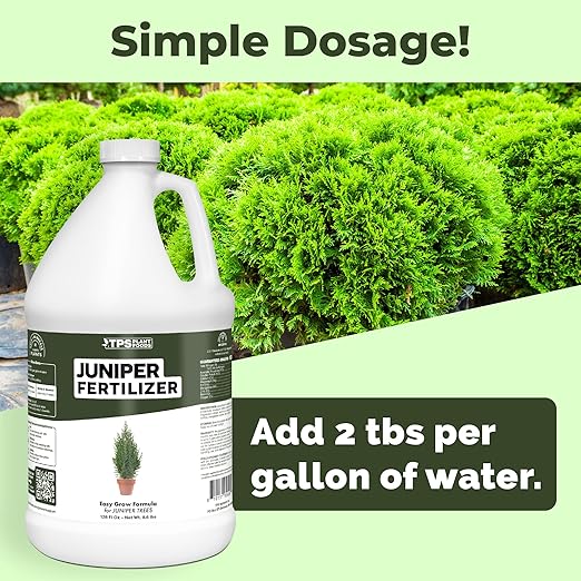 Juniper Fertilizer – Liquid Plant Food for Dense Growth, Rich Green Color & Stronger Root Development, 1 Gallon