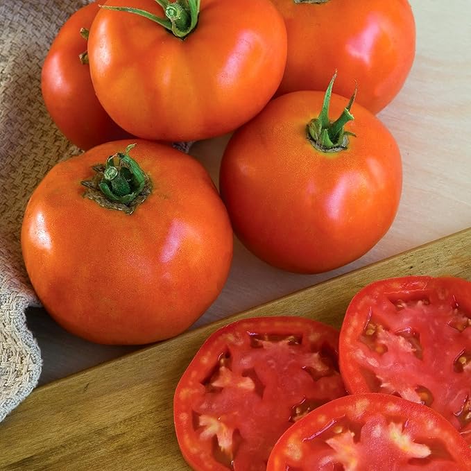 Burpee 'Super Beefsteak' Tomato Seeds for Planting - Non-GMO, Indeterminate, Beefsteak Slicing Tomato, 120mg Seed Packet for Home Gardening