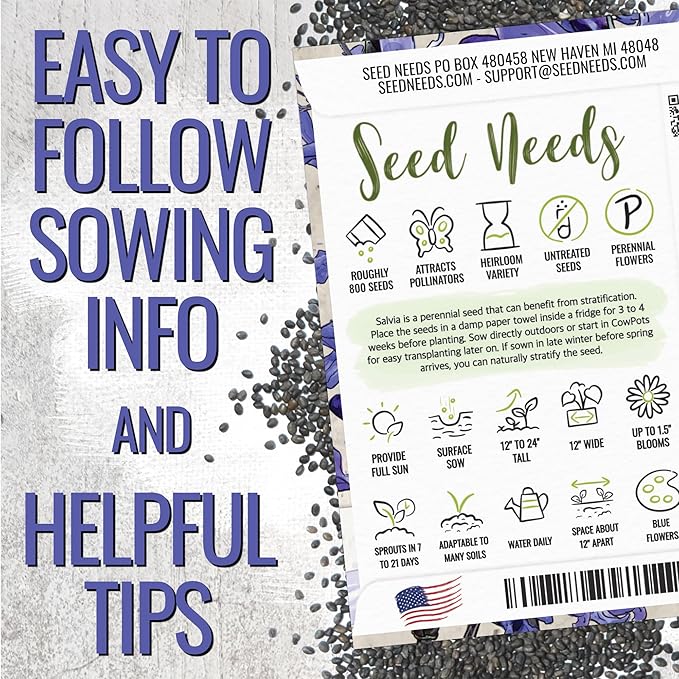Seed Needs Sapphire Blue Sage Seeds for Planting - Heirloom & Open Pollinated Salvia - Grow a Butterfly Garden with Perennial Flowering Plants (10 Packs)