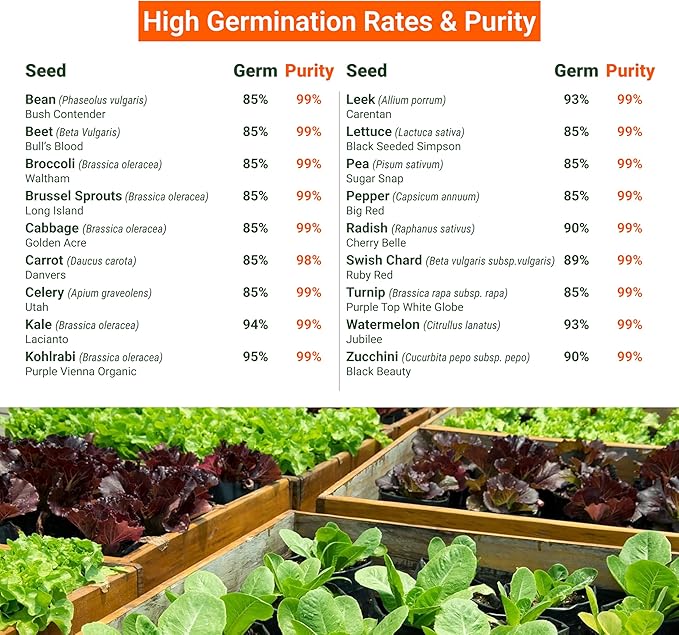 Open Seed Vault 15,000 Heirloom Plant Seeds for Gardening Vegetables and Fruits - Survival Seeds Kit with 30 Varieties - Organic, Non-GMO Survival Seed Pack for Home Gardening and Emergency Supplies