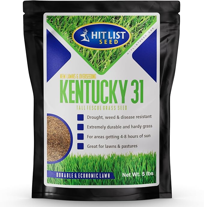 Hit List Seed Kentucky 31 K31 Tall Fescue Grass Seed, 5 lbs - Drought Tolerant, Hardy & Abuse Tolerant, Excellent Forage, Pure Seed, Genuine KY31 Seeds, Weed Free, Hunting, Attractive to Deer and Elk