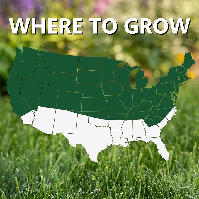 Jonathan Green (10620) Black Beauty Dense Shade Grass Seed - Cool Season Lawn Seed (7 lb)