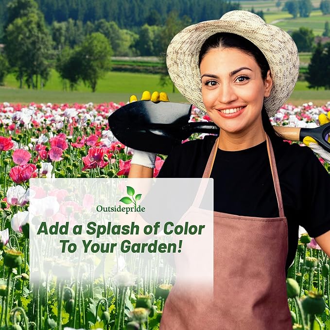 Outsidepride Shirley Poppy Seeds for Planting - 5 lbs Annual, Drought-Tolerant & Easy to Grow Wildflower Seeds with Vibrant Mix Blooms for Landscaping, & Pollinator Garden