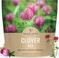 Red Clover - Large 1 Ounce Packet - 15,000 Flower Seeds for Planting - Trifolium pratense