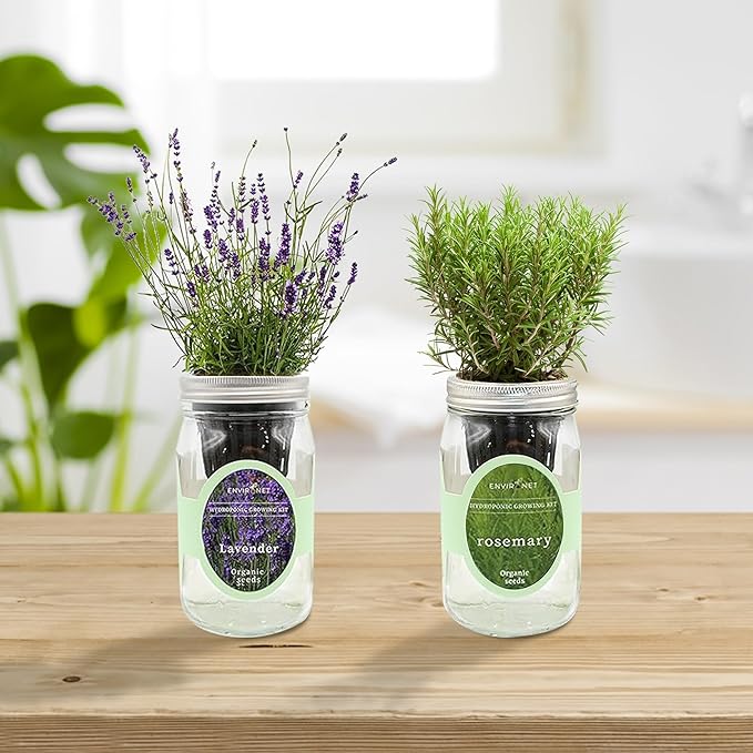 2-Pack Hydroponic Mason Jar Herb Garden Kit, Indoor Herb Garden Self-Watering Starter Kit, New Christmas Gift for Mom (Dill,Lavender)
