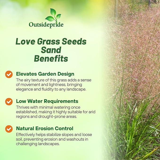 Outsidepride Sand Love Grass Seeds - 10,000 Pcs. Perennial, Easy to Grow, Drought-Tolerant, Tall Ornamental Grass, Thrives in Sandy Soil, Wind & Erosion Control for Landscaping, Year-Round Beauty