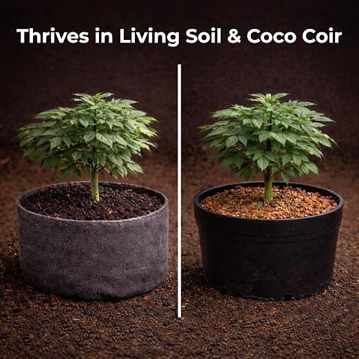 Real Growers Recharge – 8oz | Mycorrhizae Soil Microbe Inoculant for Living Soil & Coco Coir | Improves Nutrient Uptake & Root Growth