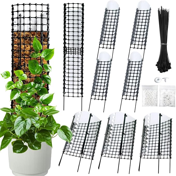 Expandable D Shaped Moss Pole, Customizable Width Moss Pole Monstera Plant Support, Stack up to 47 inches in Height, Widen to Any Size, DIY Thickened Transparent Plant Support for Climbing Plants