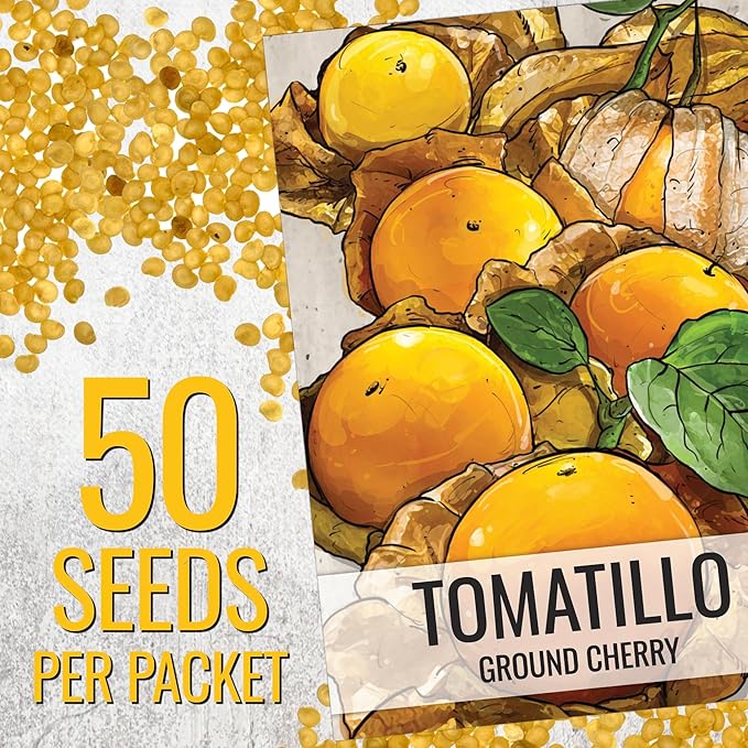 Seed Needs Ground Cherry Tomatillo Seeds for Planting - Non-GMO, Heirloom & Untreated Physalis pruinosa - Edible Cape Gooseberry/Golden Berries to Grow an Outdoor Vegetable Garden (1 Pack)