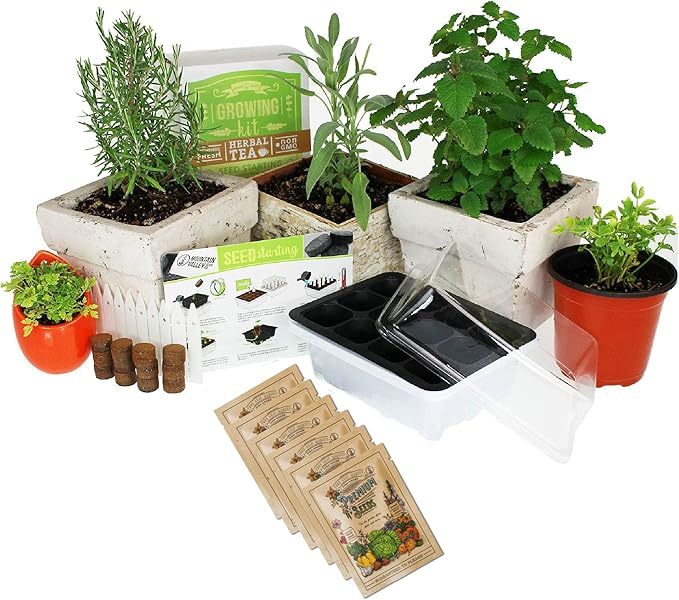 Medicinal & Herbal Tea Indoor Herb Garden Starter Kit - Basic Herb Seeds for Planting - 6 Non-GMO Varieties - Seeds Include Hot Pepper, Yarrow, Echinacea, Calendula, Chamomile, and Lavender