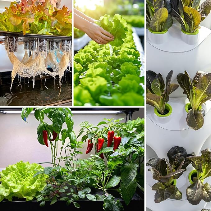 MEYCEMT Hydroponic Growing Sponges 50 Pack, Universal Fit Sponges & Seed Pods for Starting Seeds, Indoor Outdoor Garden for Seed Germination & Plant Cloning, Stronger Roots