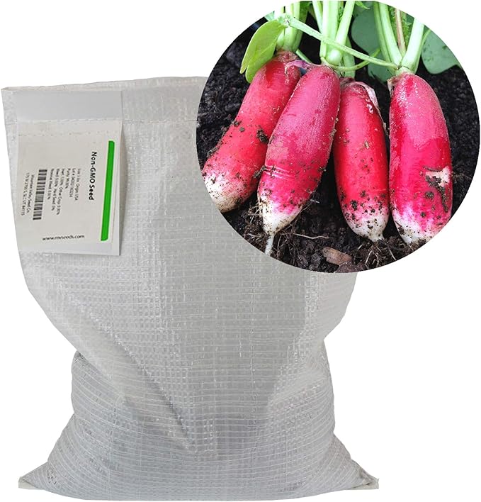 China Rose Radish Sprouting Seeds - 5 Lb - Non-GMO China Rose Radish Seeds for Microgreens, Vegetable Garden, Sprouting