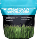 Wheatgrass Seeds | Non GMO | Grown in USA Wheat Grass Seeds | from Our Farm to Your Table (10 Pound)